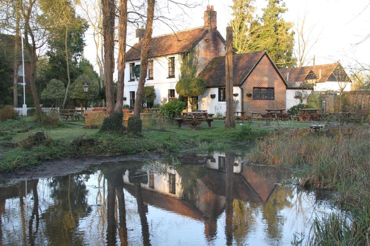 Lane End Cottage Ovington  Luaran gambar