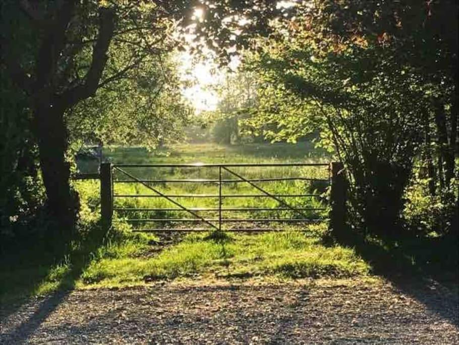 Lane End Cottage Ovington  Luaran gambar